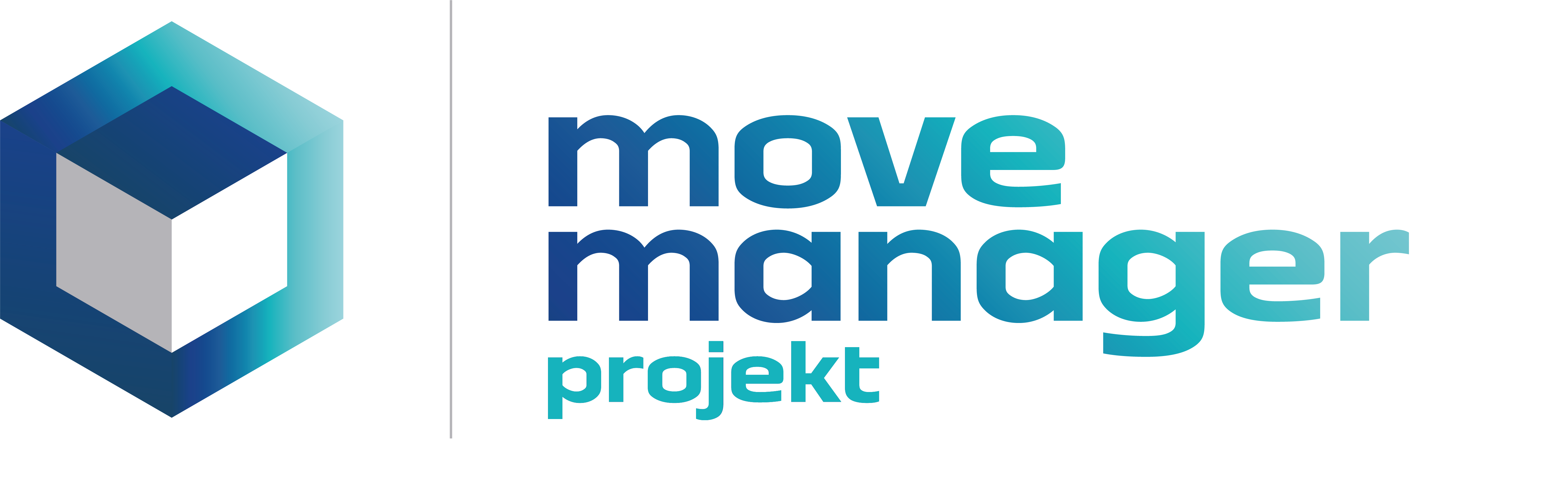 Icon Projektmanagement für Firmen